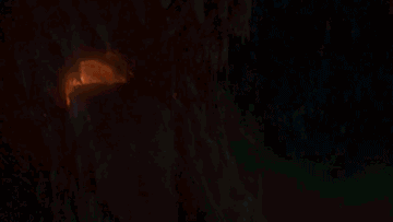 House of the Dragon visual effects creature fx work