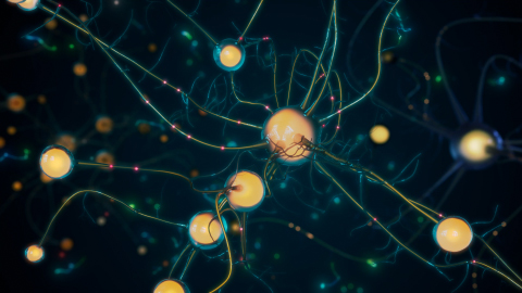 3D neuron cell scientific visualization render